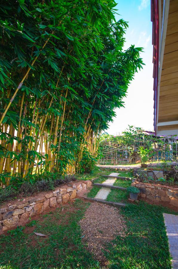 Summit View Bed & Breakfast Kandy Dış mekan fotoğraf