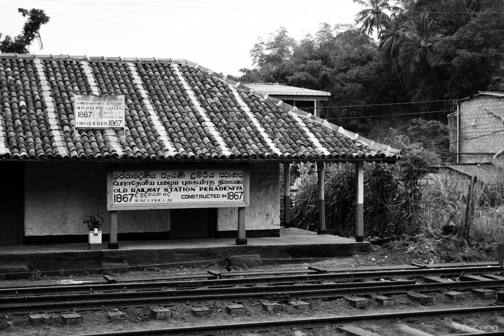 Summit View Bed & Breakfast Kandy Dış mekan fotoğraf