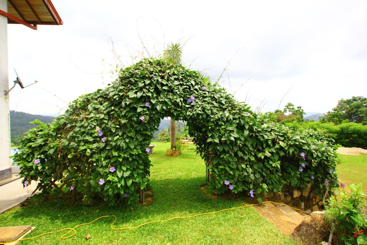 Summit View Bed & Breakfast Kandy Dış mekan fotoğraf