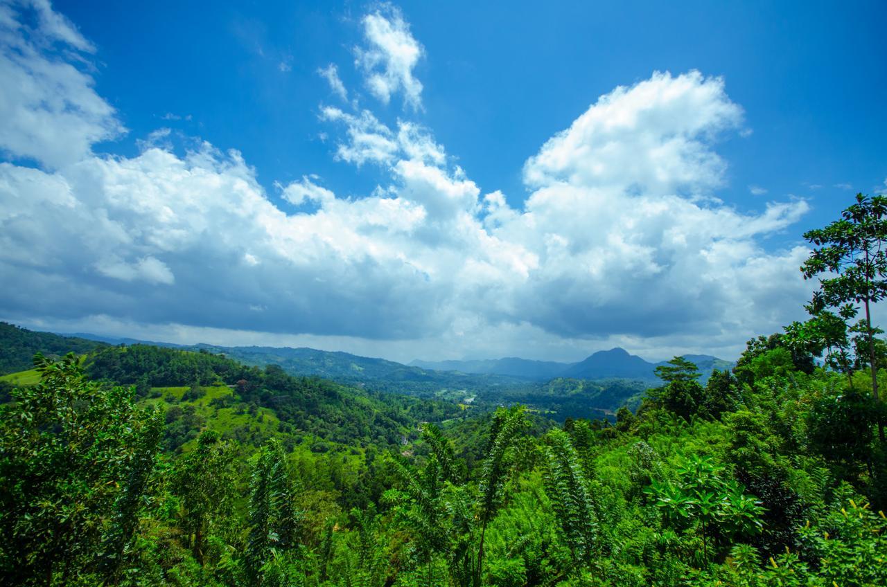 Summit View Bed & Breakfast Kandy Dış mekan fotoğraf